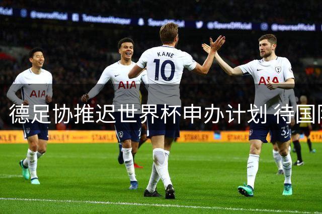 德足协推迟世界杯申办计划 待国际足联换届后再行动