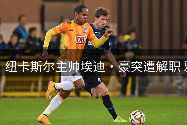 纽卡斯尔主帅埃迪·豪突遭解职 雅斯勒或成新任掌舵人